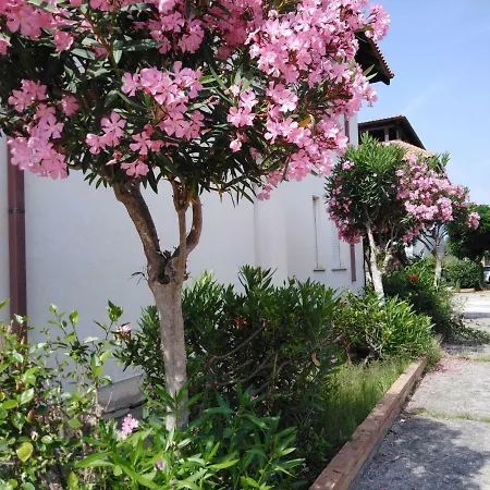 Cozy Holiday Home In Briatico Calabria With Private Beach *